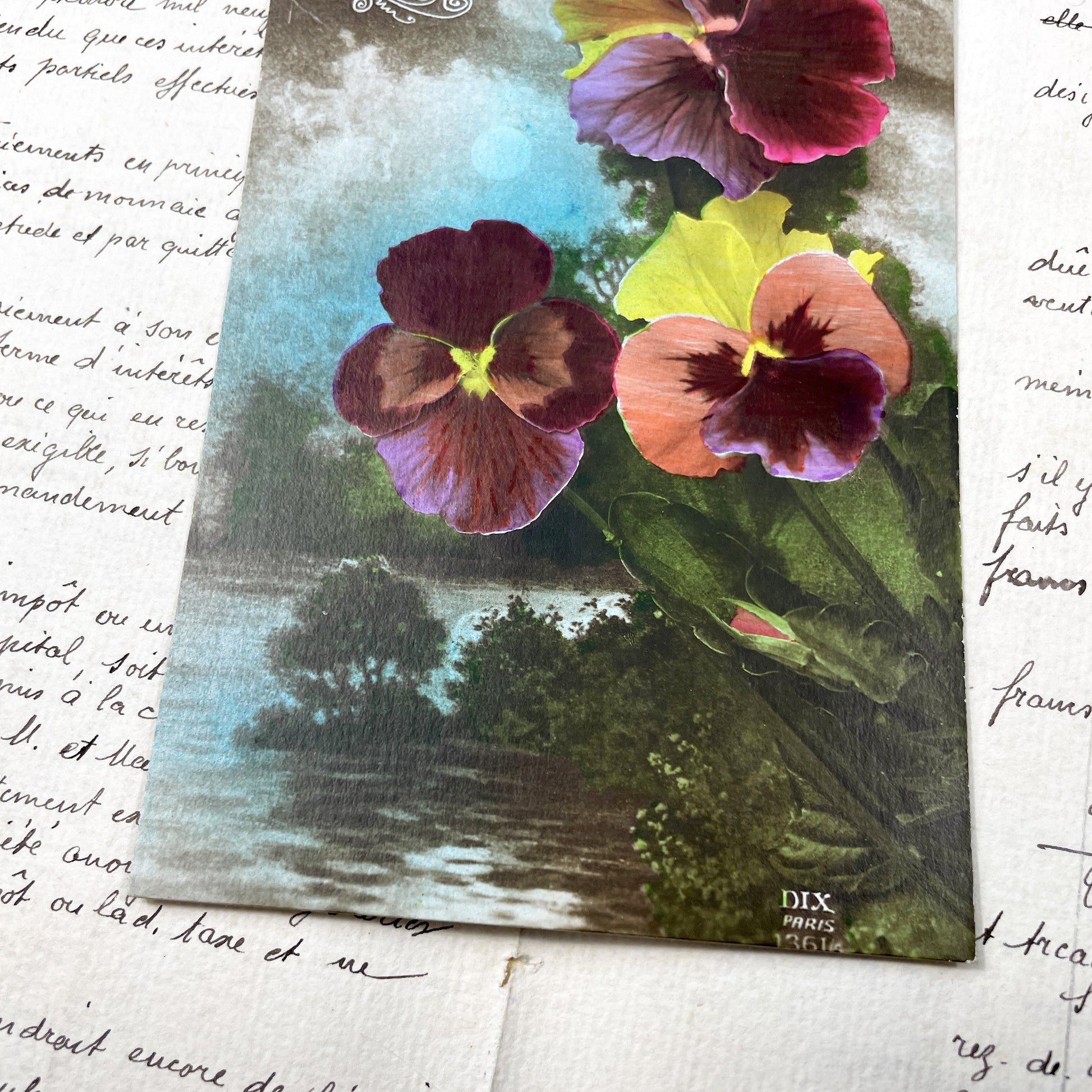 1920s - French Sentimental Postcard - Antique Pansy Flowers - Floral Art Nouveau Era Collectible - Vintage Dix Paris Ephemera
