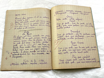 1920s - French School Notebook - Young Girl's Beautiful Handwriting - Vintage Educational Ephemera - French Classroom Memories