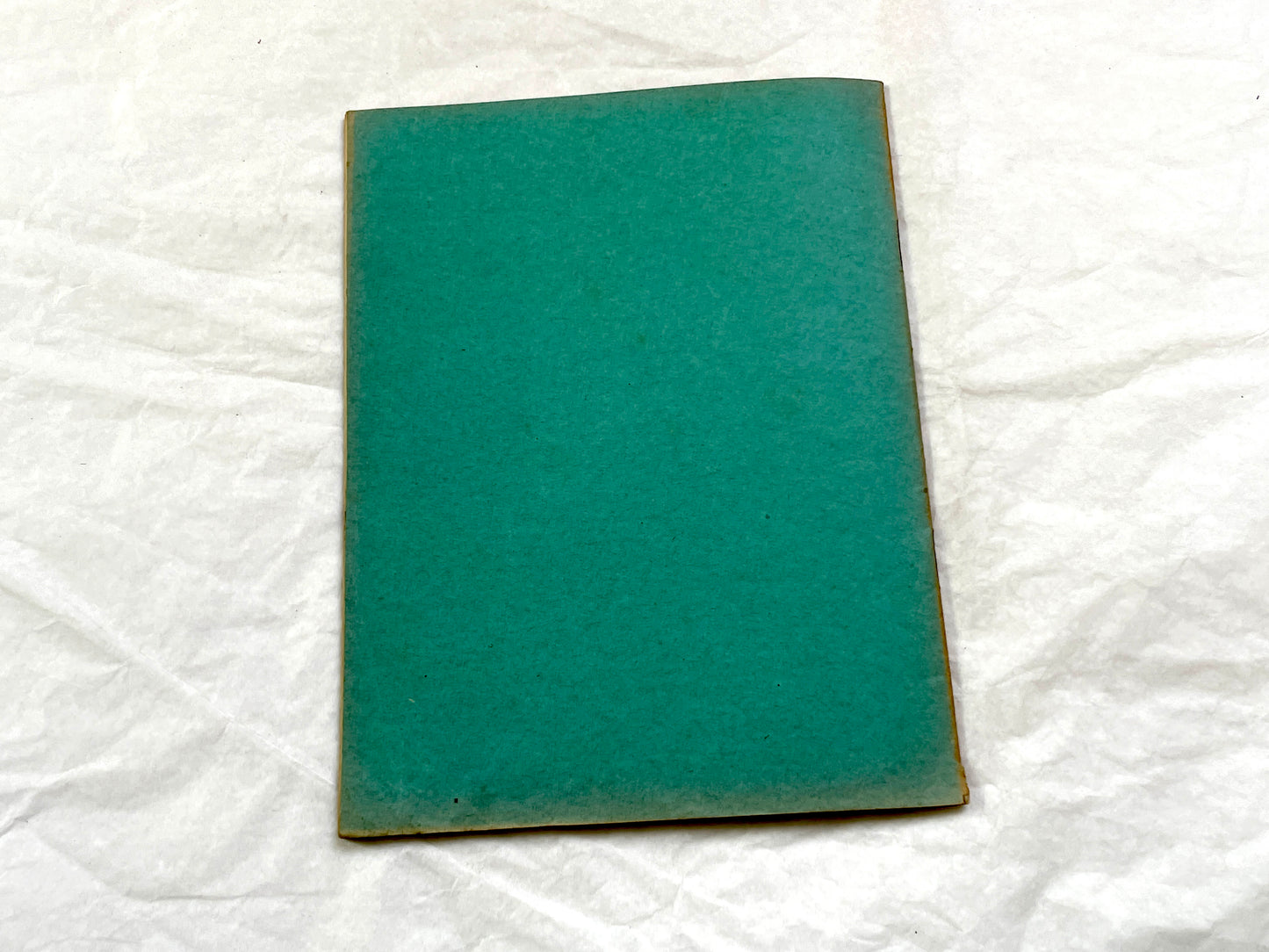 1920s - French School Notebook - Young Girl's Beautiful Handwriting - Vintage Educational Ephemera - French Classroom Memories