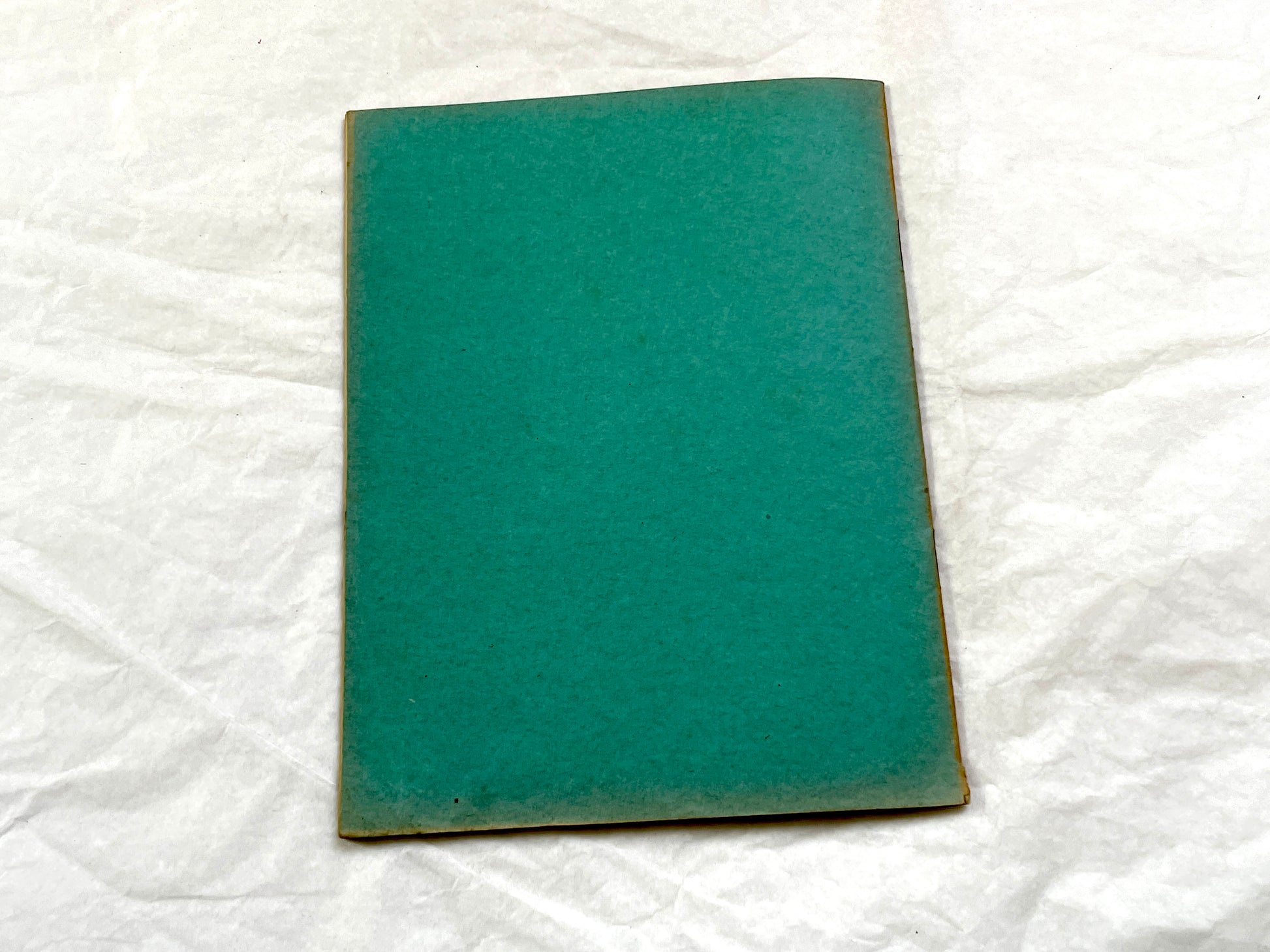 1920s - French School Notebook - Young Girl's Beautiful Handwriting - Vintage Educational Ephemera - French Classroom Memories