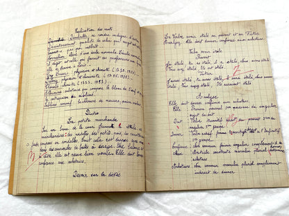 1920s - French School Notebook - Young Girl's Handwritten Lessons - Vintage French Education Ephemera
