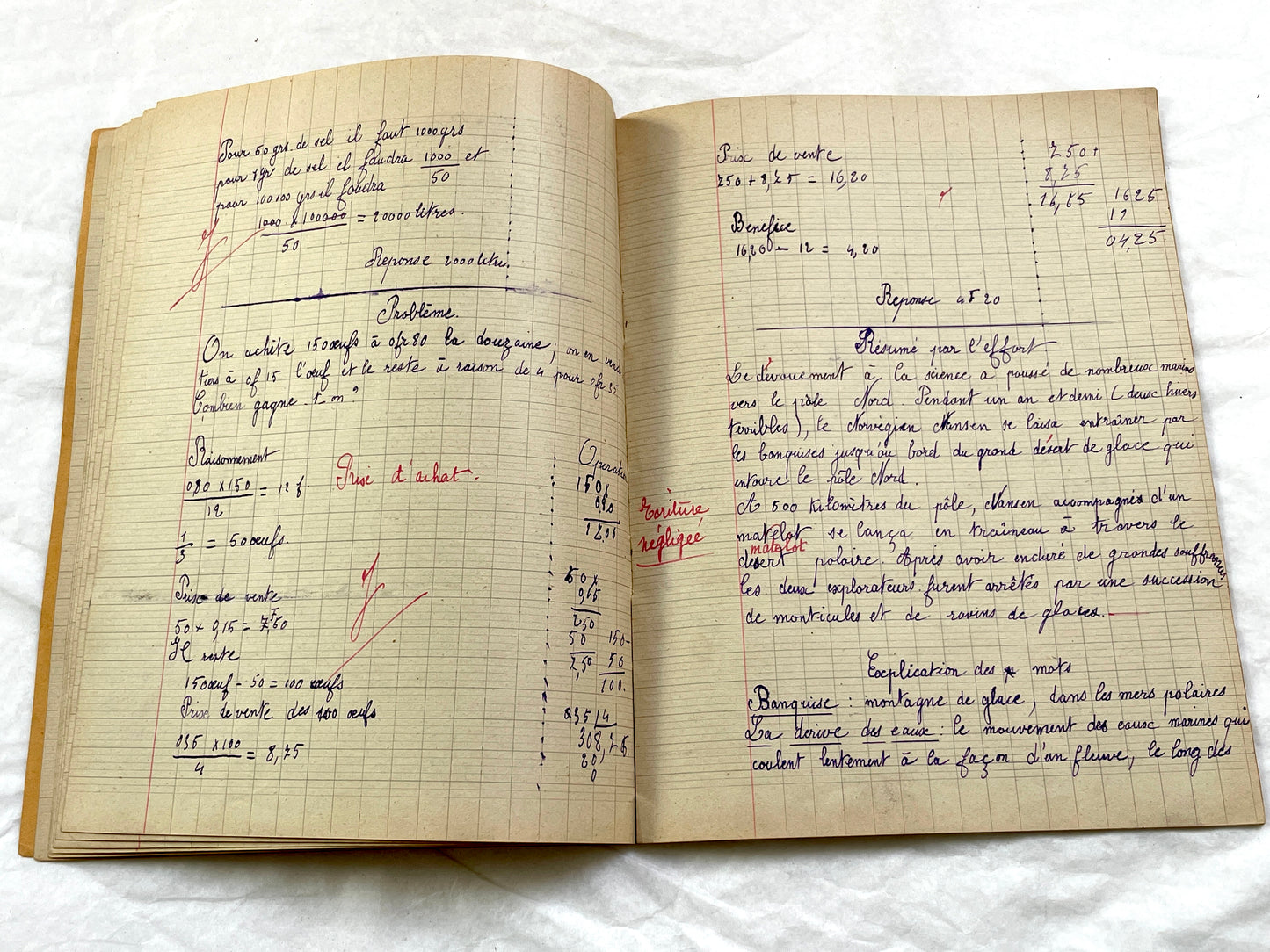 1920s - French School Notebook - Young Girl's Handwritten Lessons - Vintage French Education Ephemera