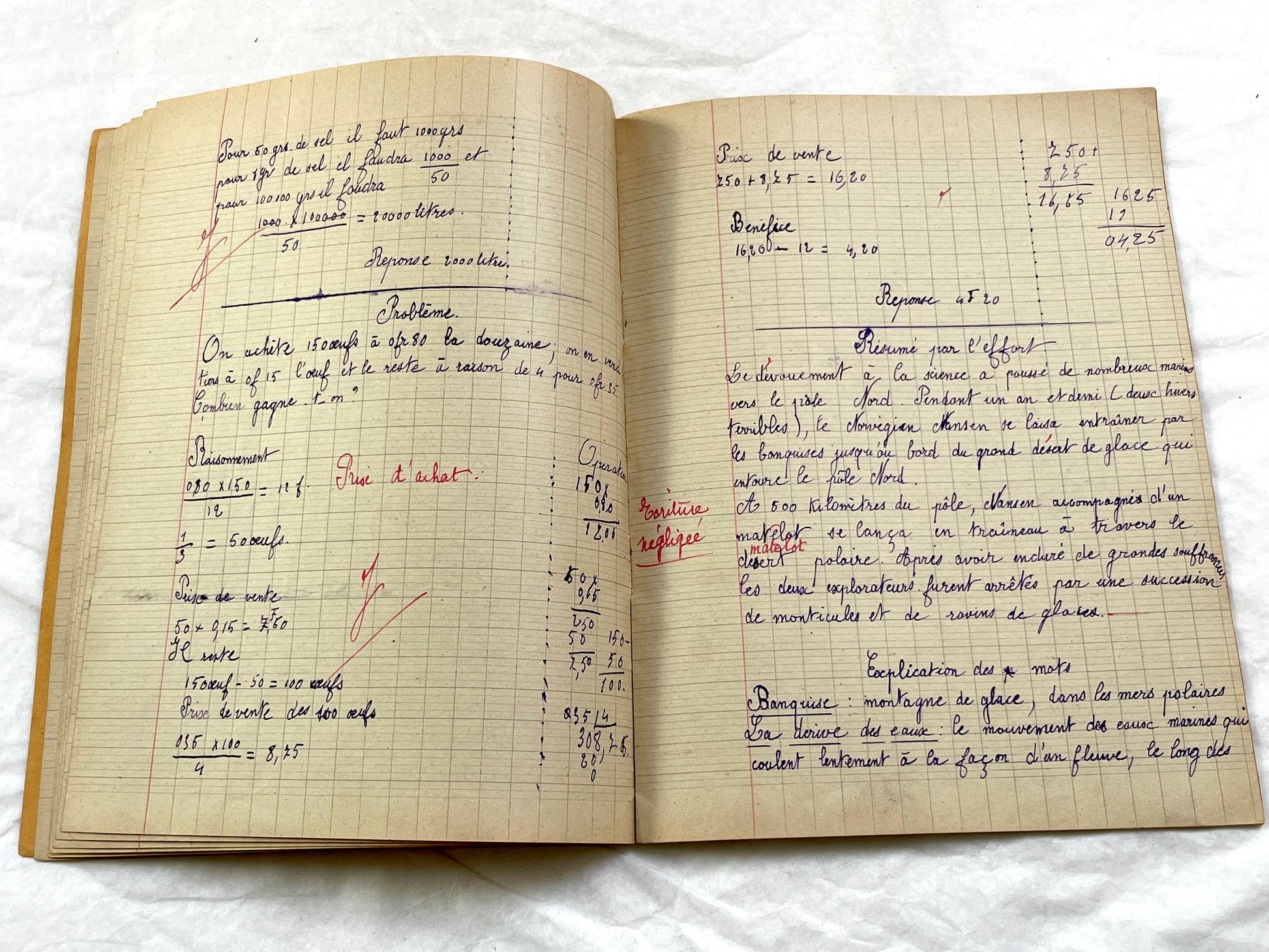 1920s - French School Notebook - Young Girl's Handwritten Lessons - Vintage French Education Ephemera