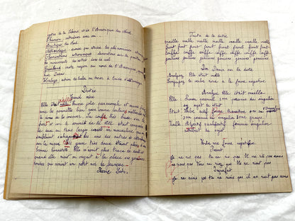 1920s - French School Notebook - Young Girl's Handwritten Lessons - Vintage French Education Ephemera