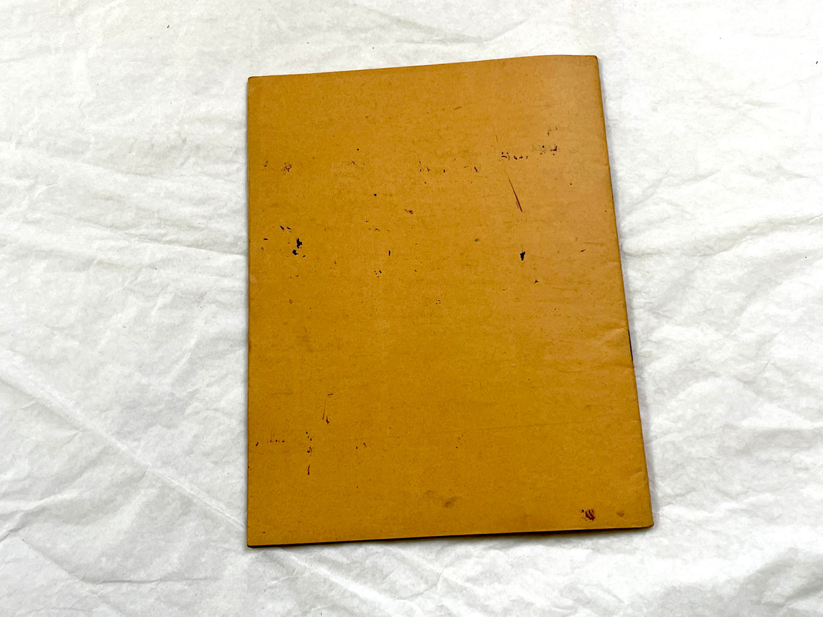 1920s - French School Notebook - Young Girl's Handwritten Lessons - Vintage French Education Ephemera