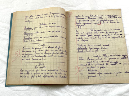 1920s - French School Notebook - Young Girl's Studies - Vintage French Education - Historical Classroom Ephemera from France