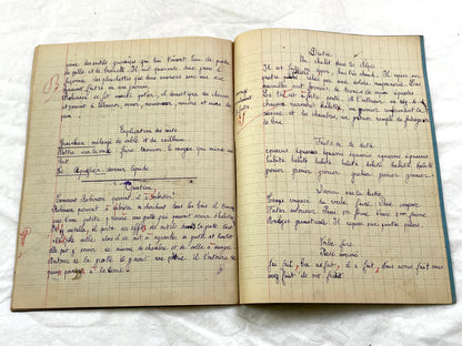 1920s - French School Notebook - Young Girl's Studies - Vintage French Education - Historical Classroom Ephemera from France