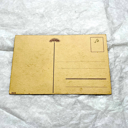 1900s - Vintage Botanical Grapes Postcard - Still Life Fruit Art