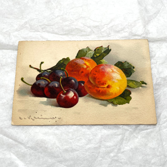 1900s - Antique Postcard - French Fruit Still Life Print
