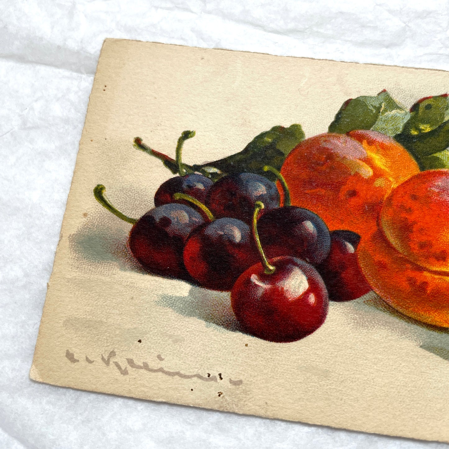 1900s - Antique Postcard - French Fruit Still Life Print