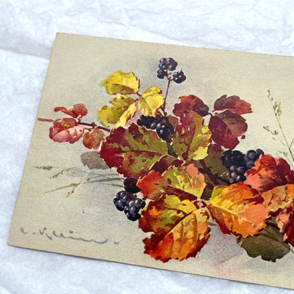 1900s - Vintage Postcard - Autumn Leaves & Wild Blackberries