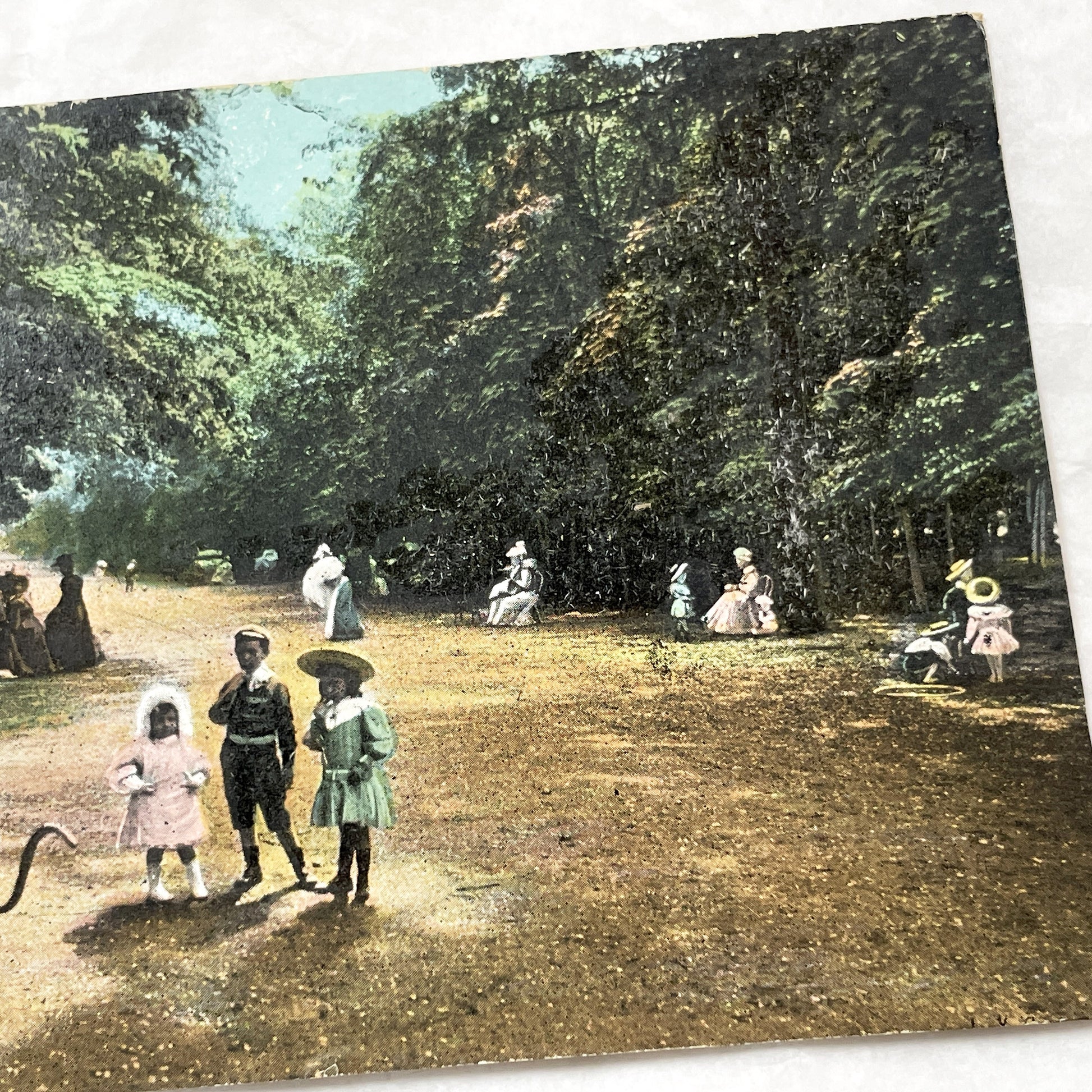1900s - Vintage French Postcard - Bois De Boulogne Paris - Shady Park Scene - Belle Époque Life - Parisian Leisure - Antique Ephemera