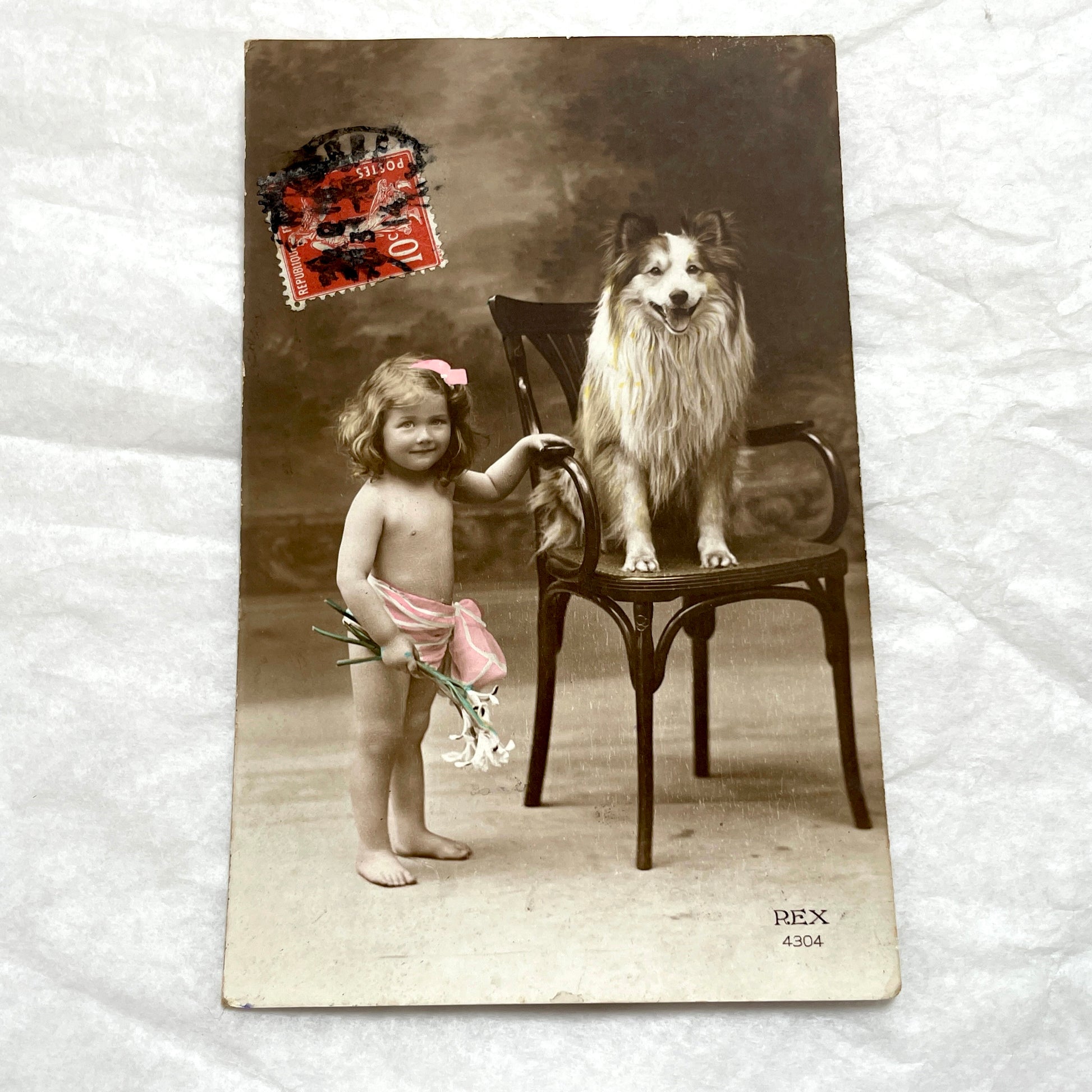 1910s - Vintage Postcard - Little Girl and Dog Sepia Portrait