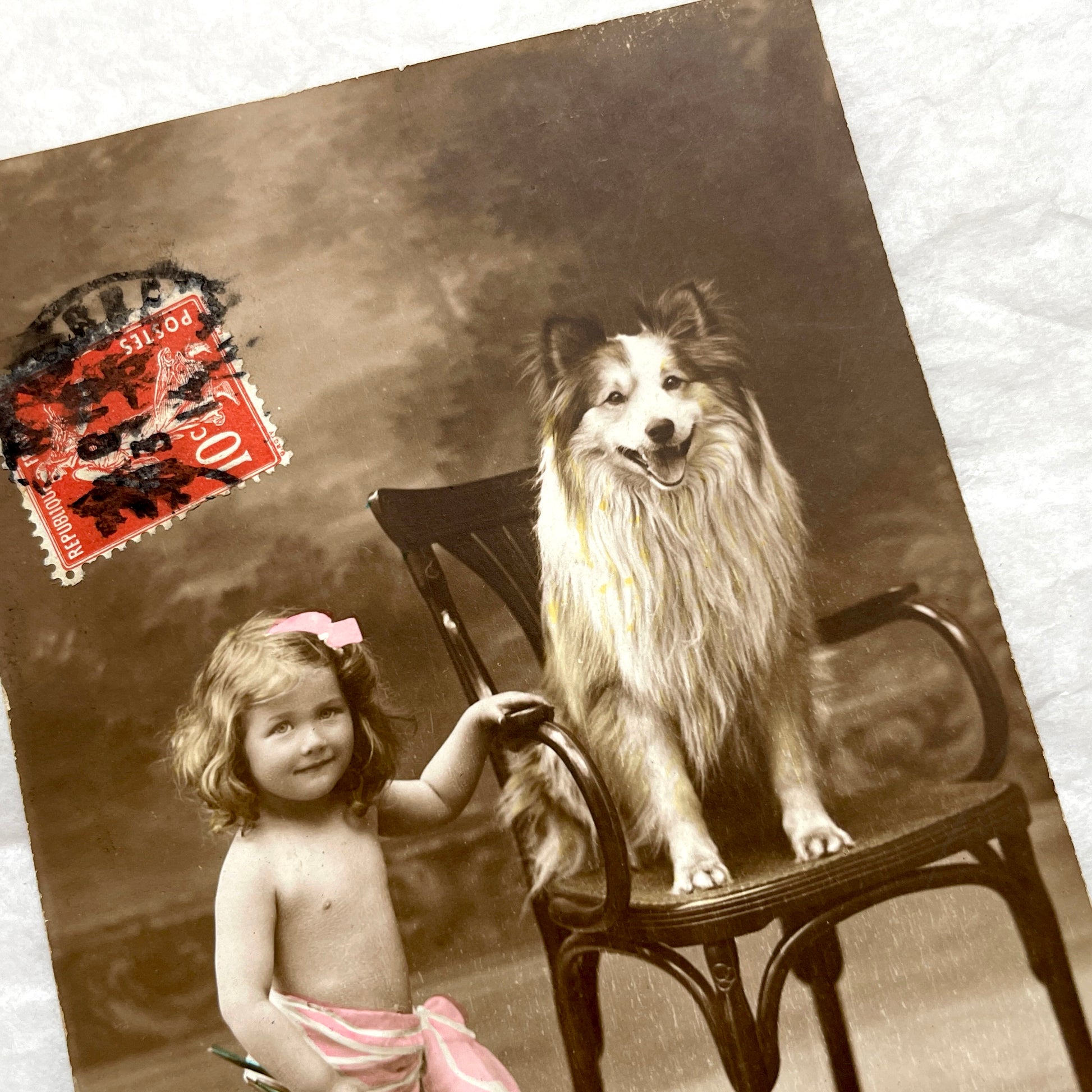 1910s - Vintage Postcard - Little Girl and Dog Sepia Portrait