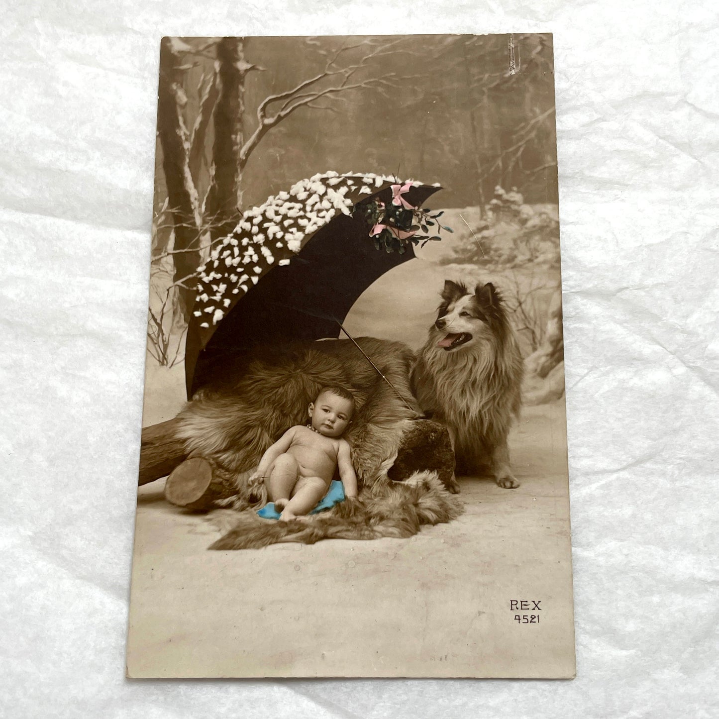 1900s - Vintage Postcard - Baby and Dog Winter Mistletoe