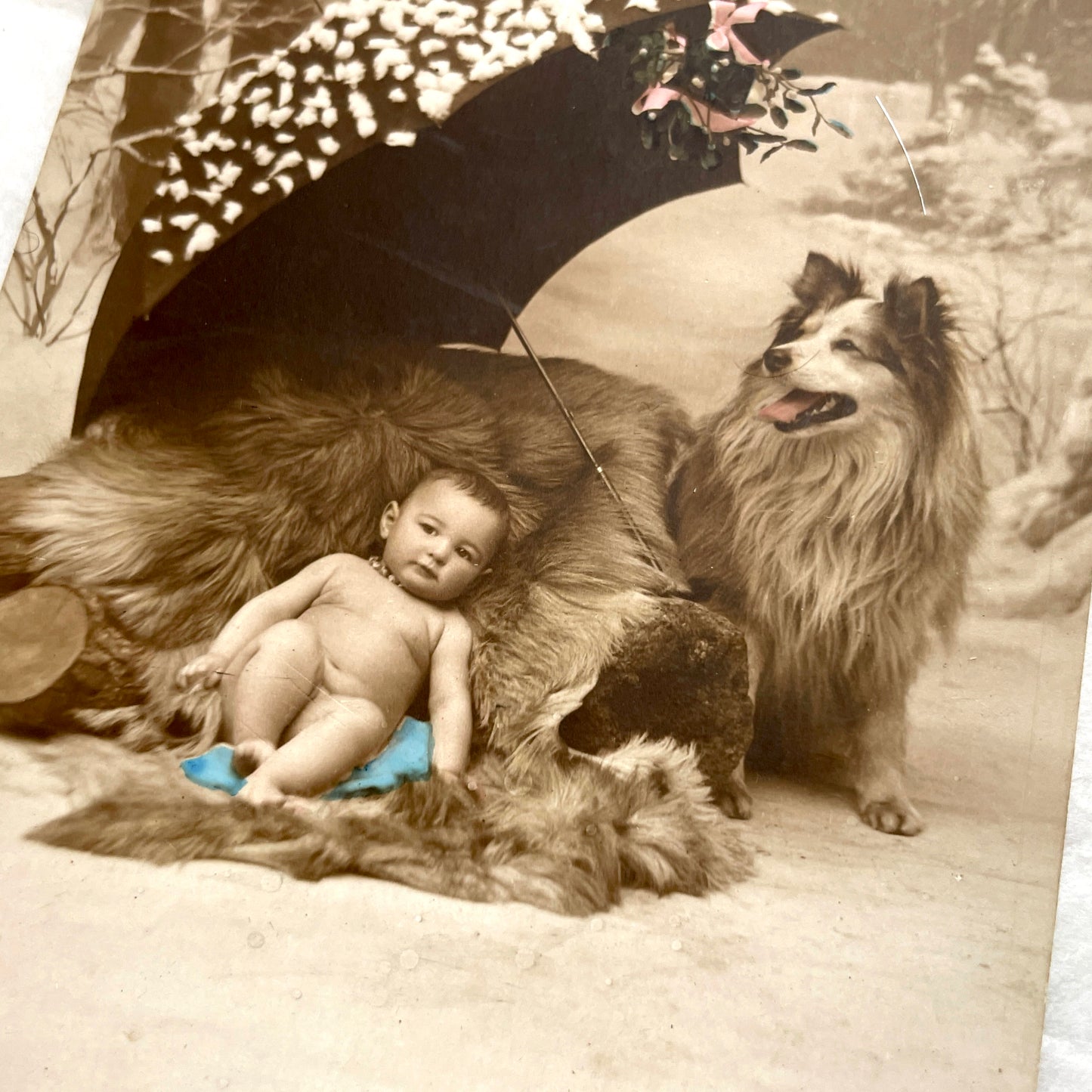 1900s - Vintage Postcard - Baby and Dog Winter Mistletoe