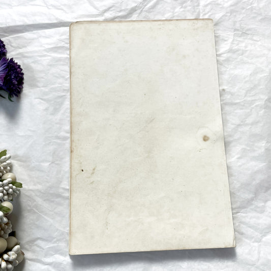 Mid 19th - Antique Hand-Colored Print - Wild Ducks Ornithological Engraving - Mallard Pochard Waterfowl Art - French Natural History Plate