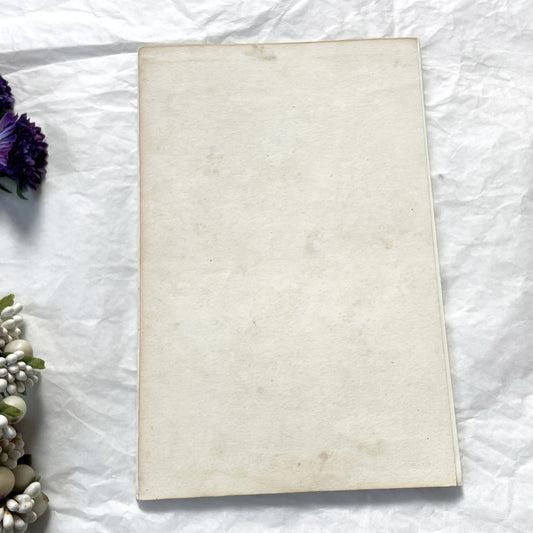 Mid 19th - Original Hand-Colored Bird Lithograph Print - Edouard Travies - Le Castagneux - Le Grand Plongeon - Antique Ornithology Plate