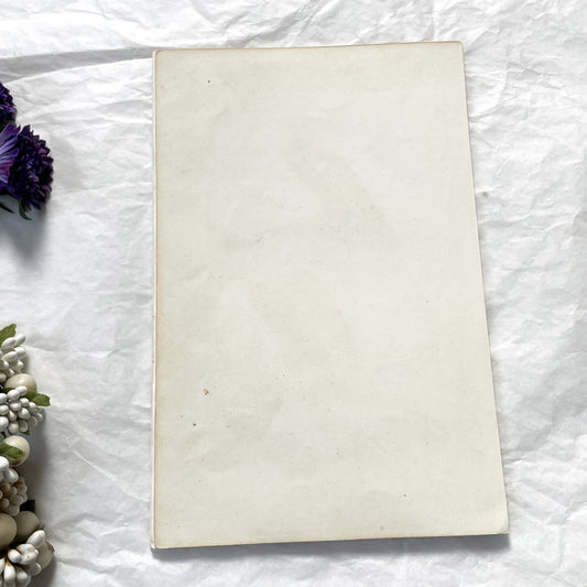 Mid 19th Century - Vintage Bald Eagle Ornithological Print - Hand-Colored Engraving - French Natural History Art - Eagles