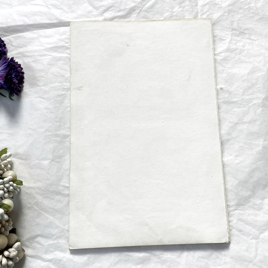 Mid 19th Century - Antique Zoological Print - Lemur And Loris Hand-Colored Illustration - Edouard Travies Wildlife Art Decor