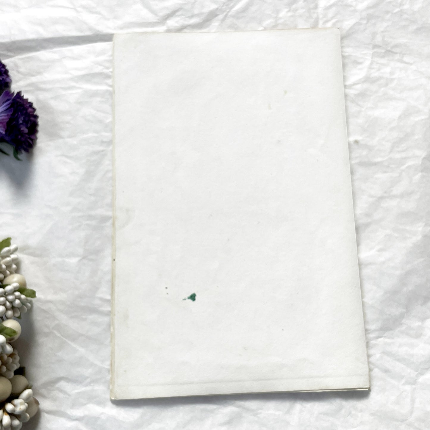 Mid 19th Century - Edouard Travies Primate Print - Iocko And Pango Antique Zoological Art - Hand Colored Engraving - French Natural History