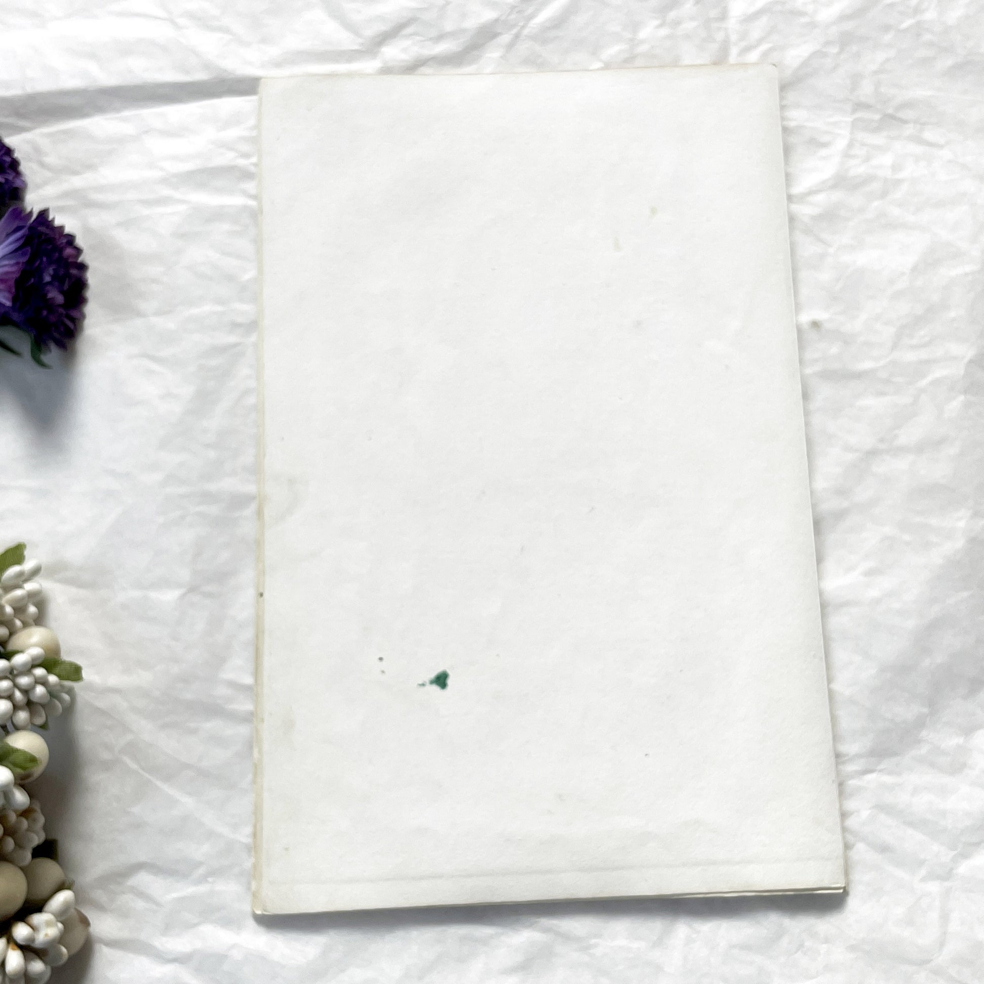 Mid 19th Century - Edouard Travies Primate Print - Iocko And Pango Antique Zoological Art - Hand Colored Engraving - French Natural History