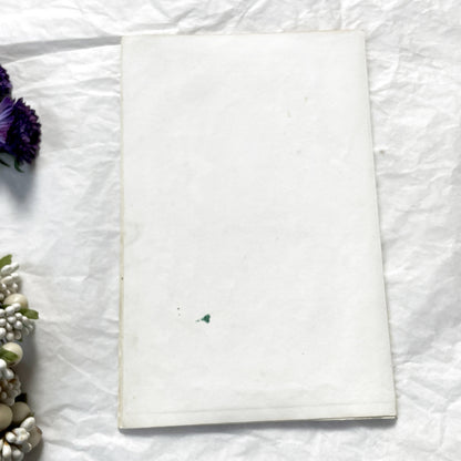 Mid 19th Century - Edouard Travies Primate Print - Iocko And Pango Antique Zoological Art - Hand Colored Engraving - French Natural History