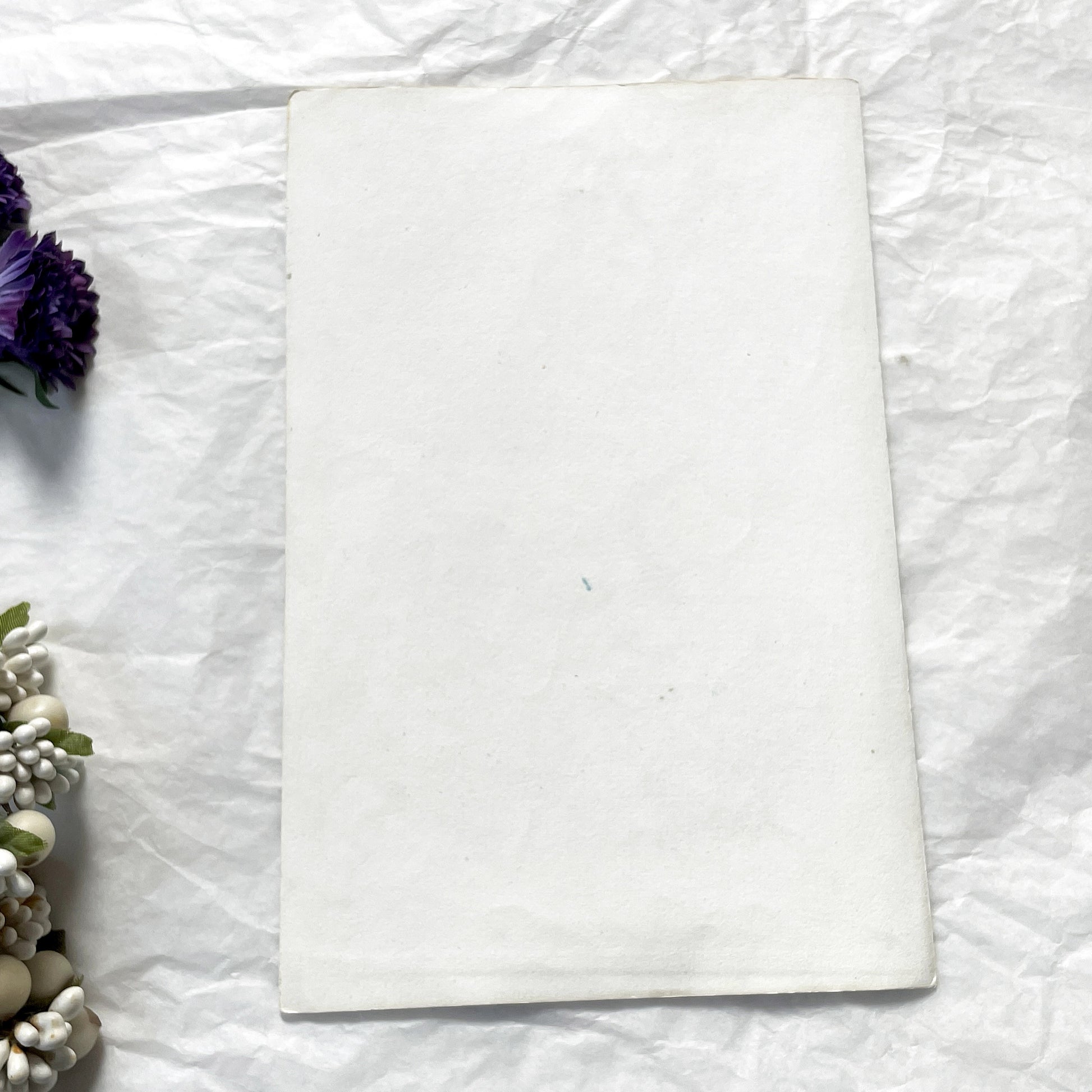 Mid 19th century - Antique Zoology Print - Hand Colored Lithograph Lemur Tarsier Mokoko - Primate Mammal Natural History Illustration