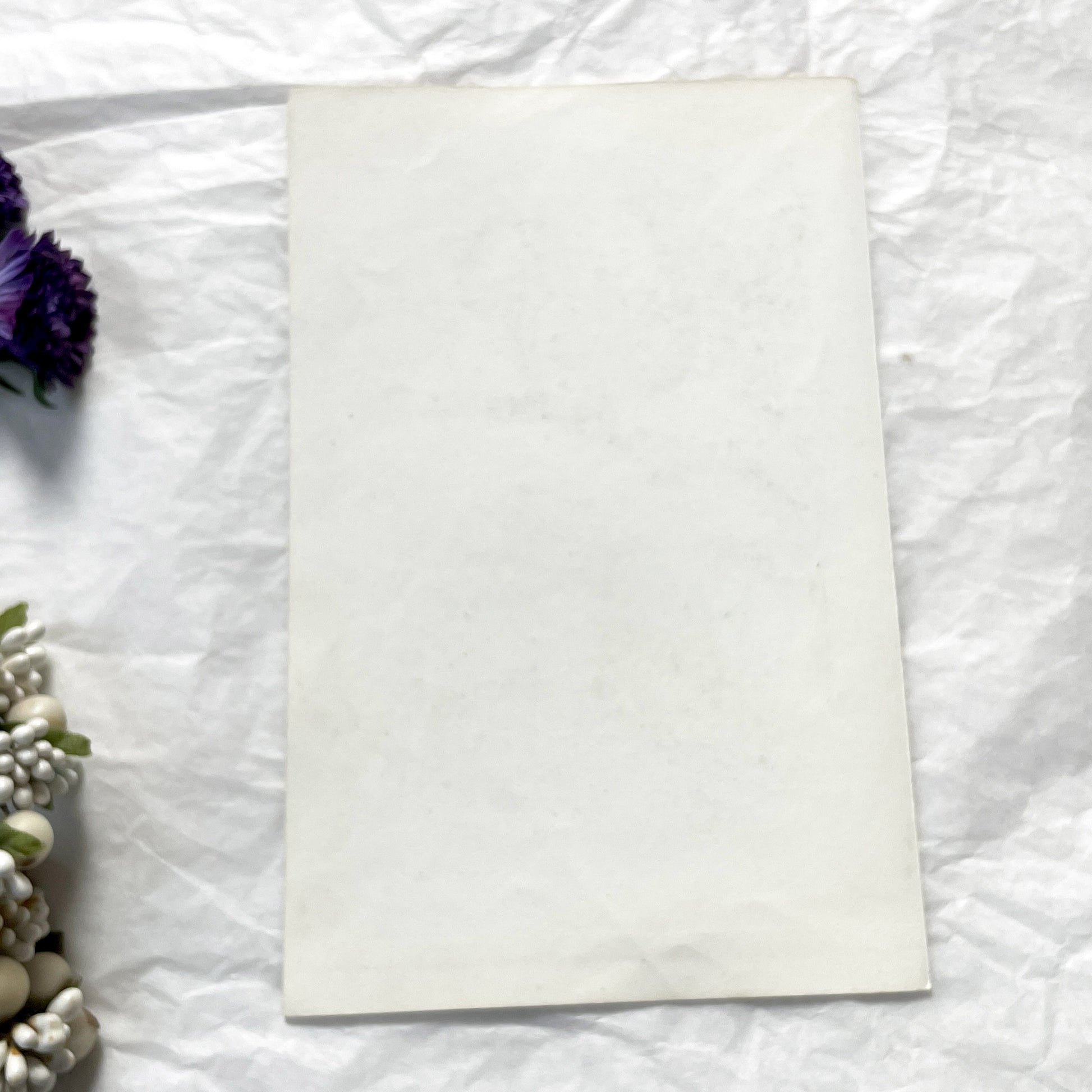 Mid 19th - Original Antique Monkey Print - Travies Zoology Engraving - Howler Spider Monkeys - Natural History Art Wall Decor