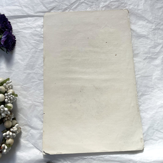 Mid 19th Century - Elephant Lithograph Print - Asian Elephant Male Female Calf - Natural History Engraving - Antique Art