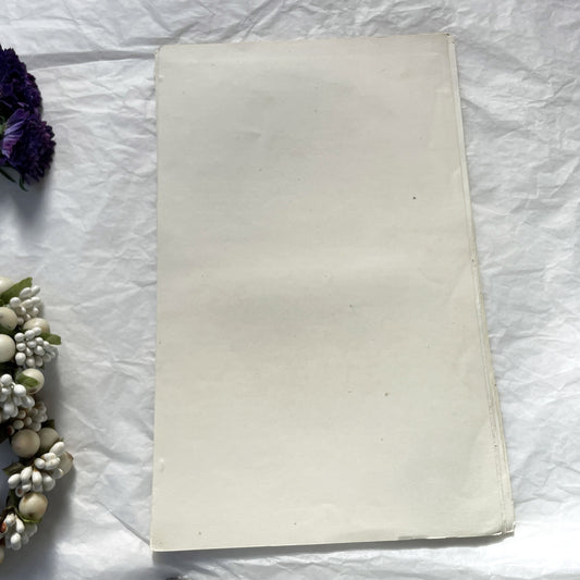 Mid 19th - Original Hand Colored French Print - Le Taureau L'Âne - Victor Adam Lithograph - Parisian Animal Engraving