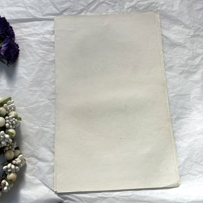 Mid 19th century - Original Hand Colored Wild Boar - Siamese Pig Antique Animal Print - French Zoological Engraving - Natural History Art