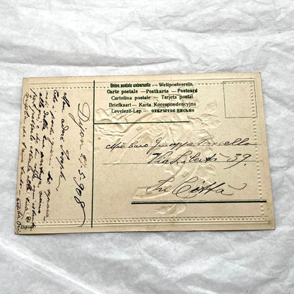 1900s French postcard with embossed pink roses and a green lucky horseshoe on a plaid background.