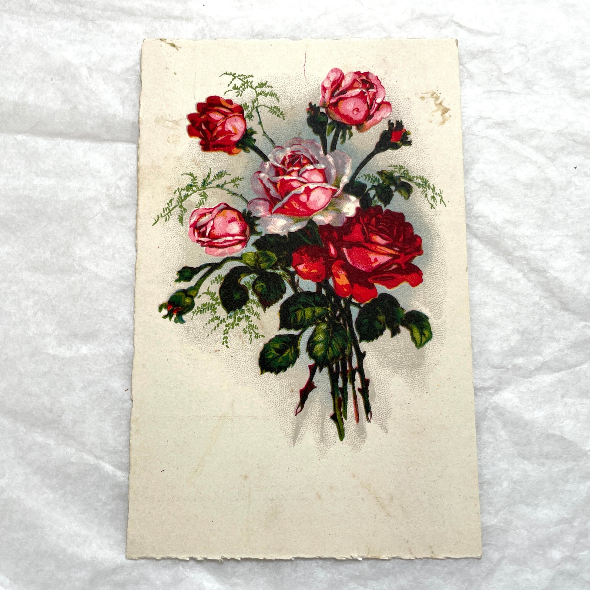 1940s French Postcard Lot with vivid red and pink rose bouquets, antique floral art for collectors.