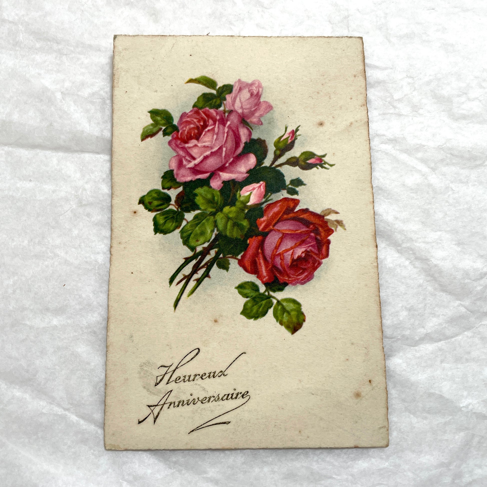 1940s French Postcard Lot with vivid red and pink rose bouquets, antique floral art for collectors.