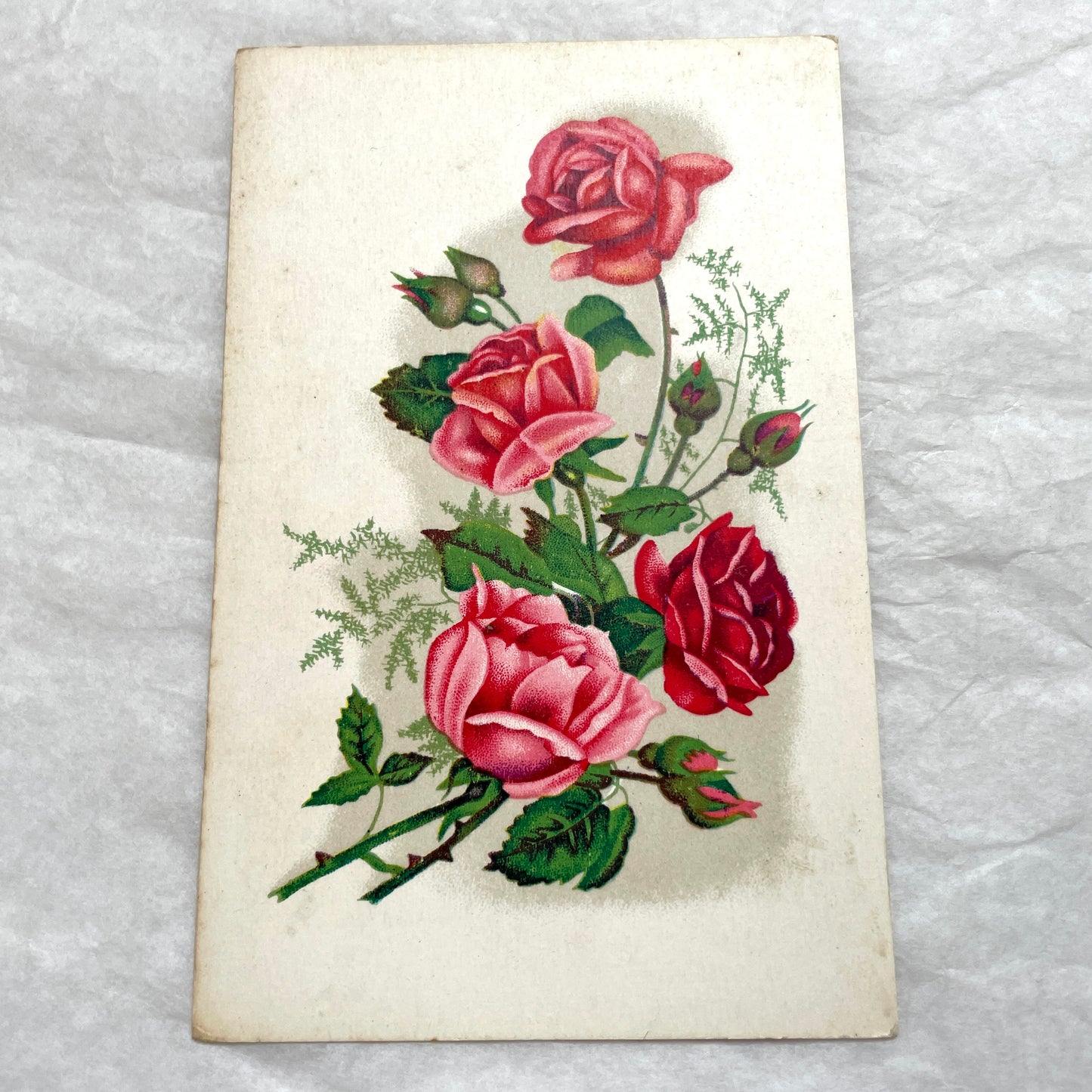 1930s vintage postcard lot featuring four unique illustrations of vibrant red and pink roses with green leaves, floral art.