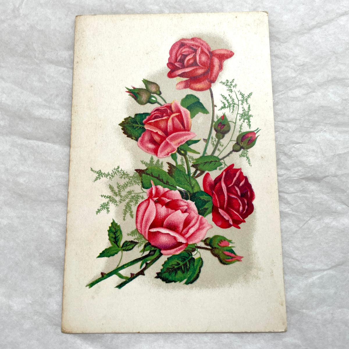 1930s vintage postcard lot featuring four unique illustrations of vibrant red and pink roses with green leaves, floral art.