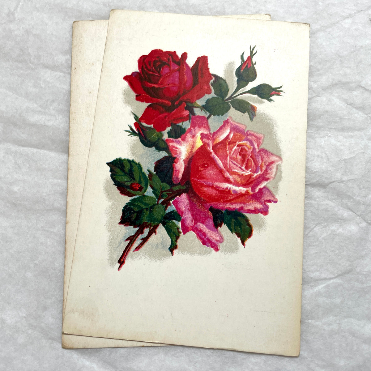 1930s vintage postcard lot featuring four unique illustrations of vibrant red and pink roses with green leaves, floral art.