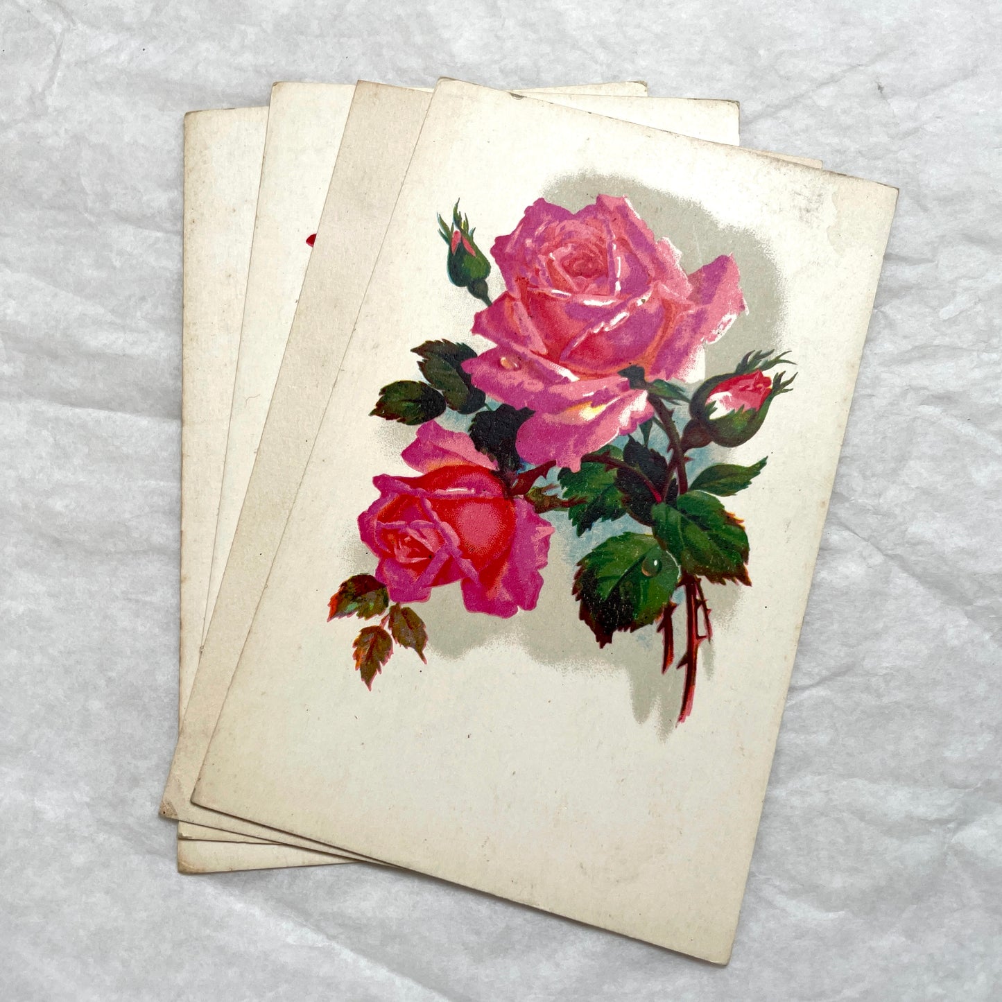 1930s vintage postcard lot featuring four unique illustrations of vibrant red and pink roses with green leaves, floral art.