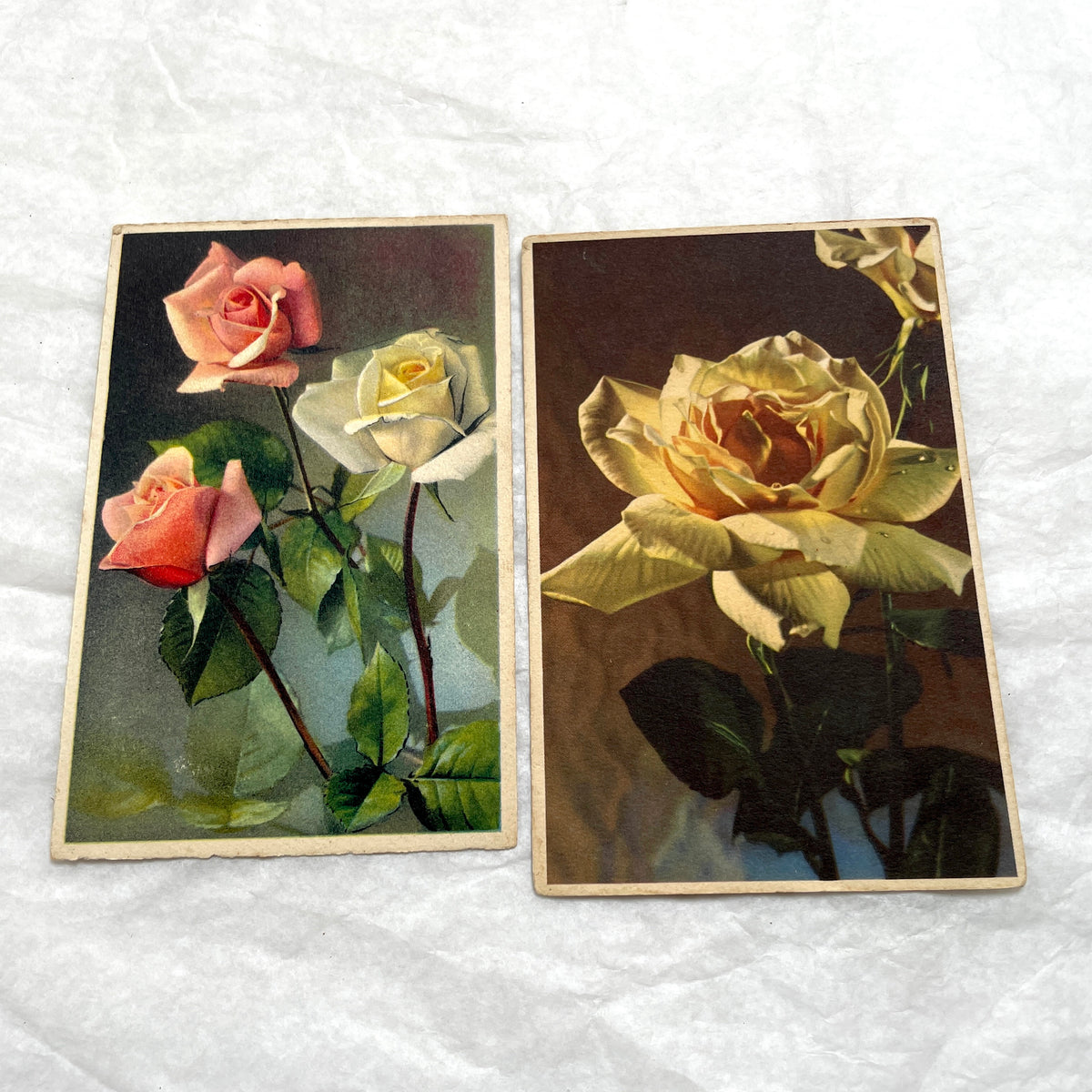 1900s vintage postcards lot featuring pink and yellow roses. Early 20th-century botanical floral art set.