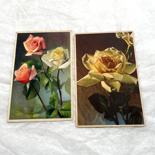1900s vintage postcards lot featuring pink and yellow roses. Early 20th-century botanical floral art set.