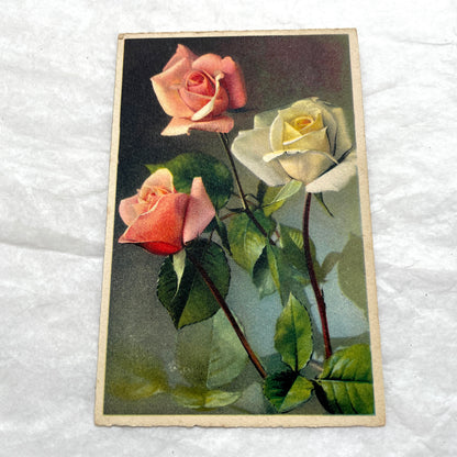 1900s vintage postcards lot featuring pink and yellow roses. Early 20th-century botanical floral art set.