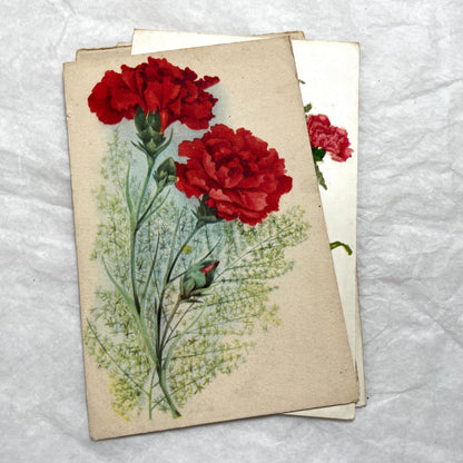Lot of four 1950s carnation postcards featuring vibrant red and pink floral arrangements with French text.