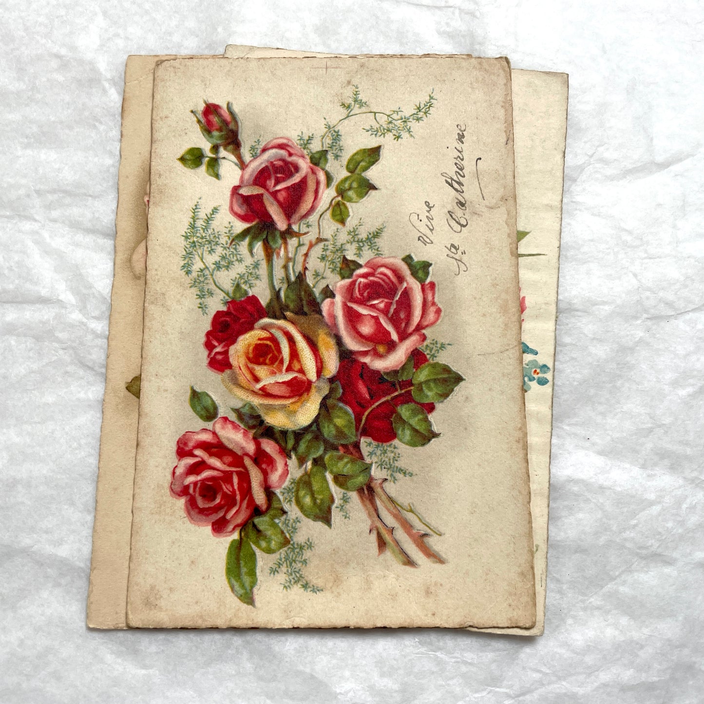 1900s French floral postcard lot featuring vintage illustrations of red roses and pink carnations in a classic style.