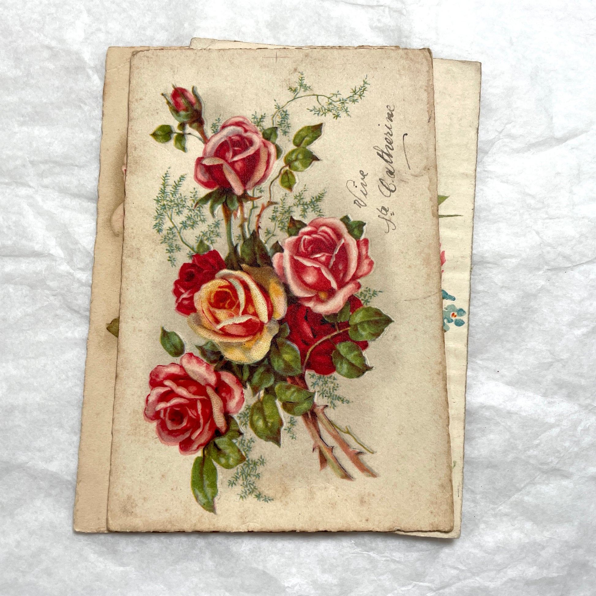 1900s French floral postcard lot featuring vintage illustrations of red roses and pink carnations in a classic style.