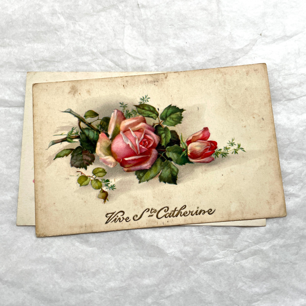 Four 1900s French vintage postcards with beautiful pink and red rose floral designs and 'St Catherine' banners.