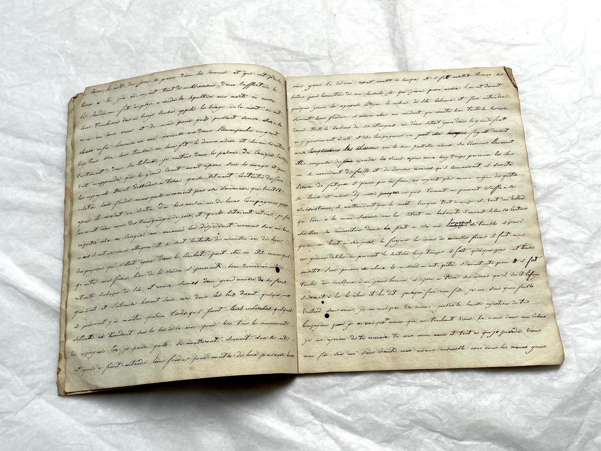 Late 19th Century handwritten French manuscript book with aged pages open to reveal flowing script.