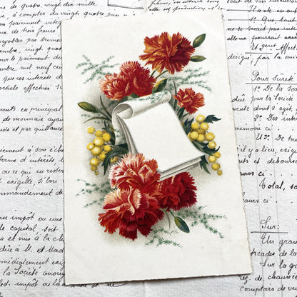 1950s - French Flowers Postcard - Vibrant Carnations Mimosa Flowers - Blank Scroll Design - Collectible Paper Ephemera