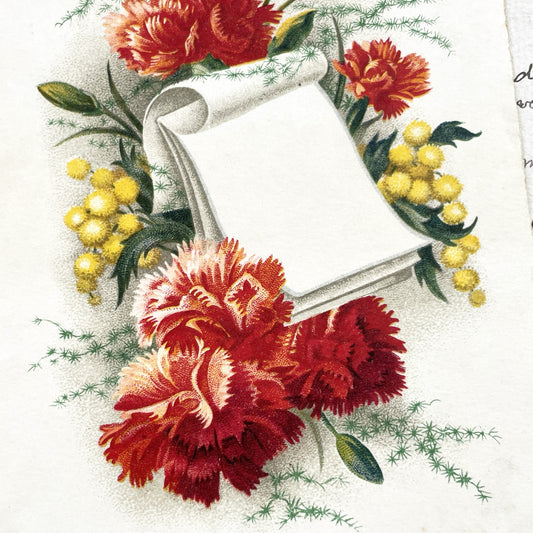 1950s - French Flowers Postcard - Vibrant Carnations Mimosa Flowers - Blank Scroll Design - Collectible Paper Ephemera