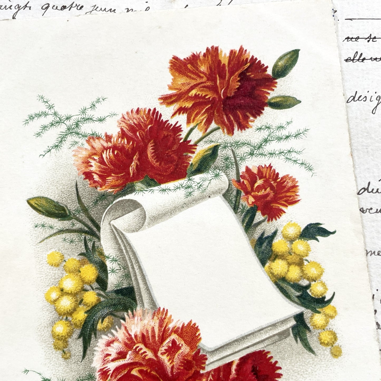 1950s - French Flowers Postcard - Vibrant Carnations Mimosa Flowers - Blank Scroll Design - Collectible Paper Ephemera